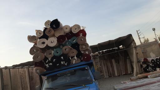 عکس قالی شویی ماهی