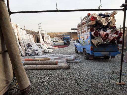 عکس قالی شویی ماهی