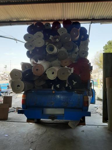 عکس قالی شویی ماهی