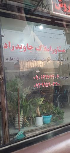 عکس مشاور املاک جاویدراد