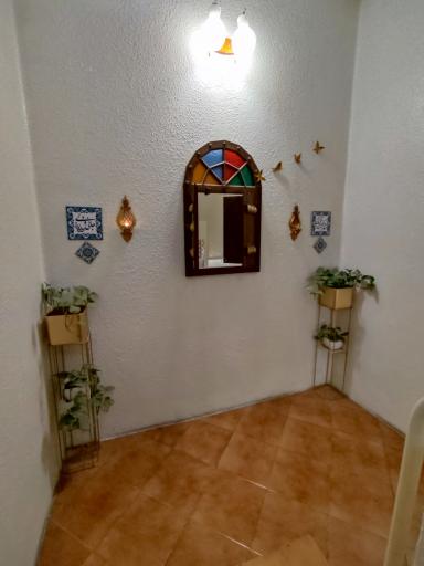 عکس موسسه فرهنگی هنری گل های داودی