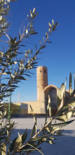 عکس مسجد جامع ورزنه