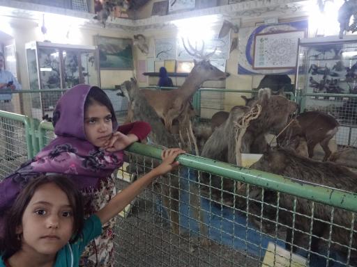 عکس موزه تاریخ طبیعی و حیات وحش اصفهان