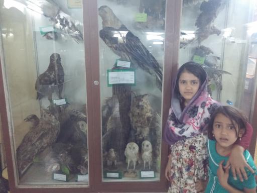 عکس موزه تاریخ طبیعی و حیات وحش اصفهان