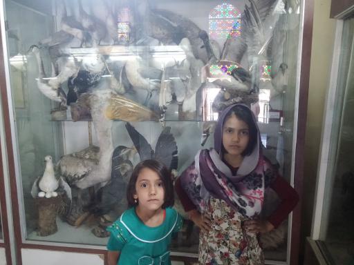 عکس موزه تاریخ طبیعی و حیات وحش اصفهان