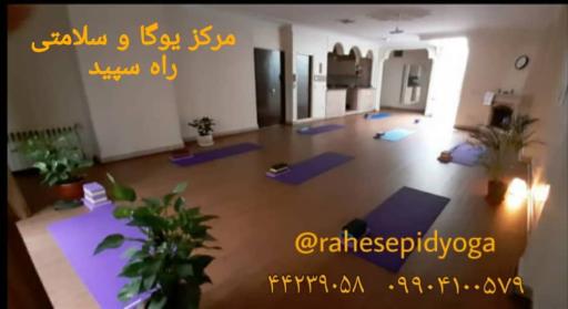 عکس مرکز یوگا و سلامتی راه سپید