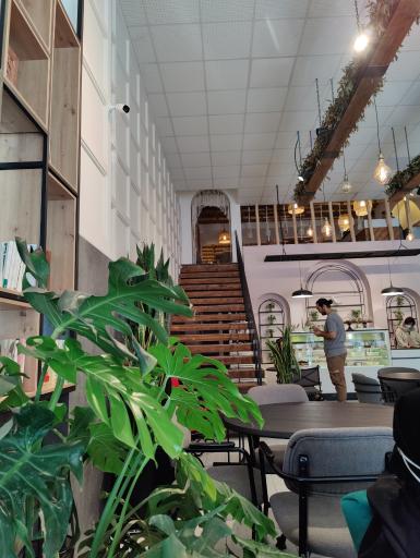 عکس کافه کیک استودیو 