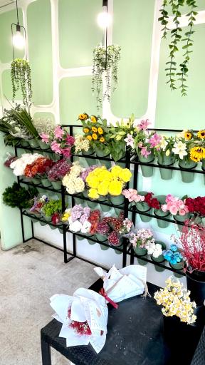 عکس گل فروشی مری کا