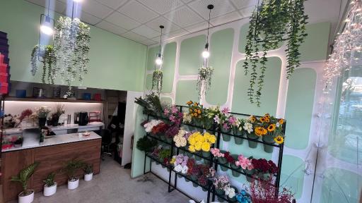 عکس گل فروشی مری کا