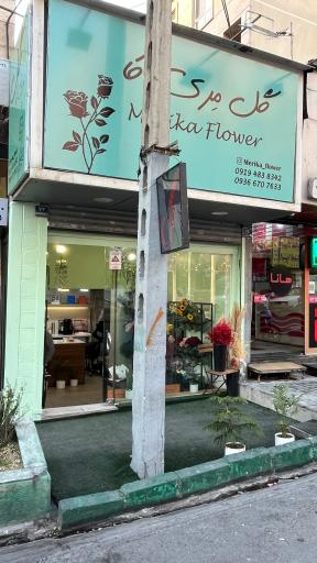 عکس گل فروشی مری کا