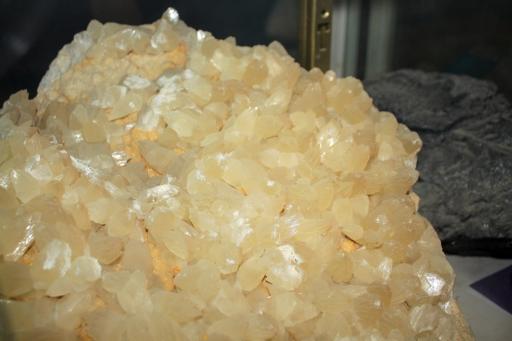 عکس موزه تاریخ طبیعی و حیات وحش اصفهان