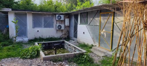 عکس کلبه سوشیان