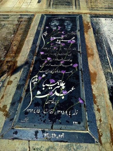 عکس مزار شهید محمود جیبا 