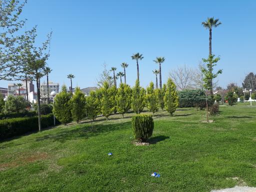 عکس پارک شهر ولیعصر
