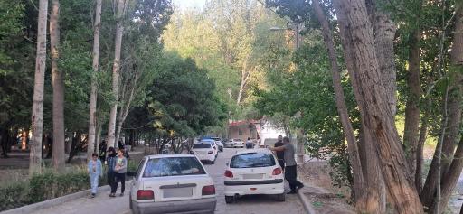 عکس پارک جنگلی فدک