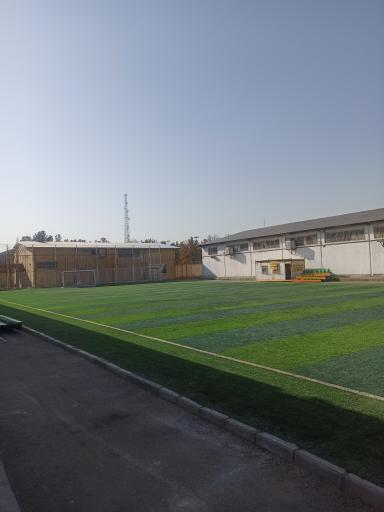 عکس زمین چمن بابانظر