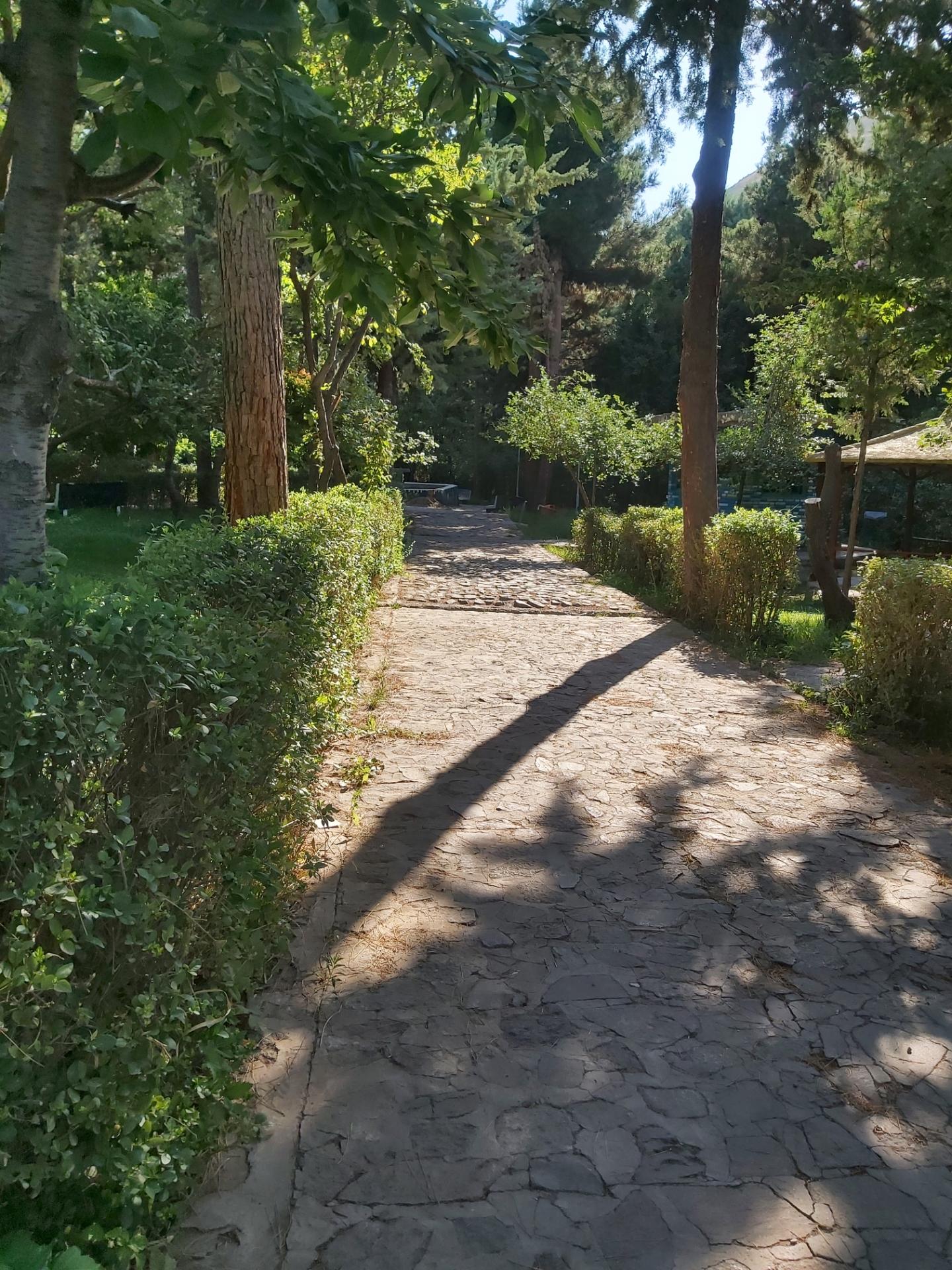 عکس پارک جنگلی فدک