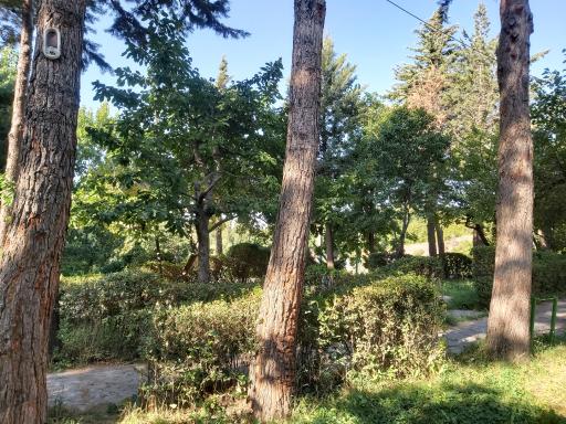 عکس پارک جنگلی فدک