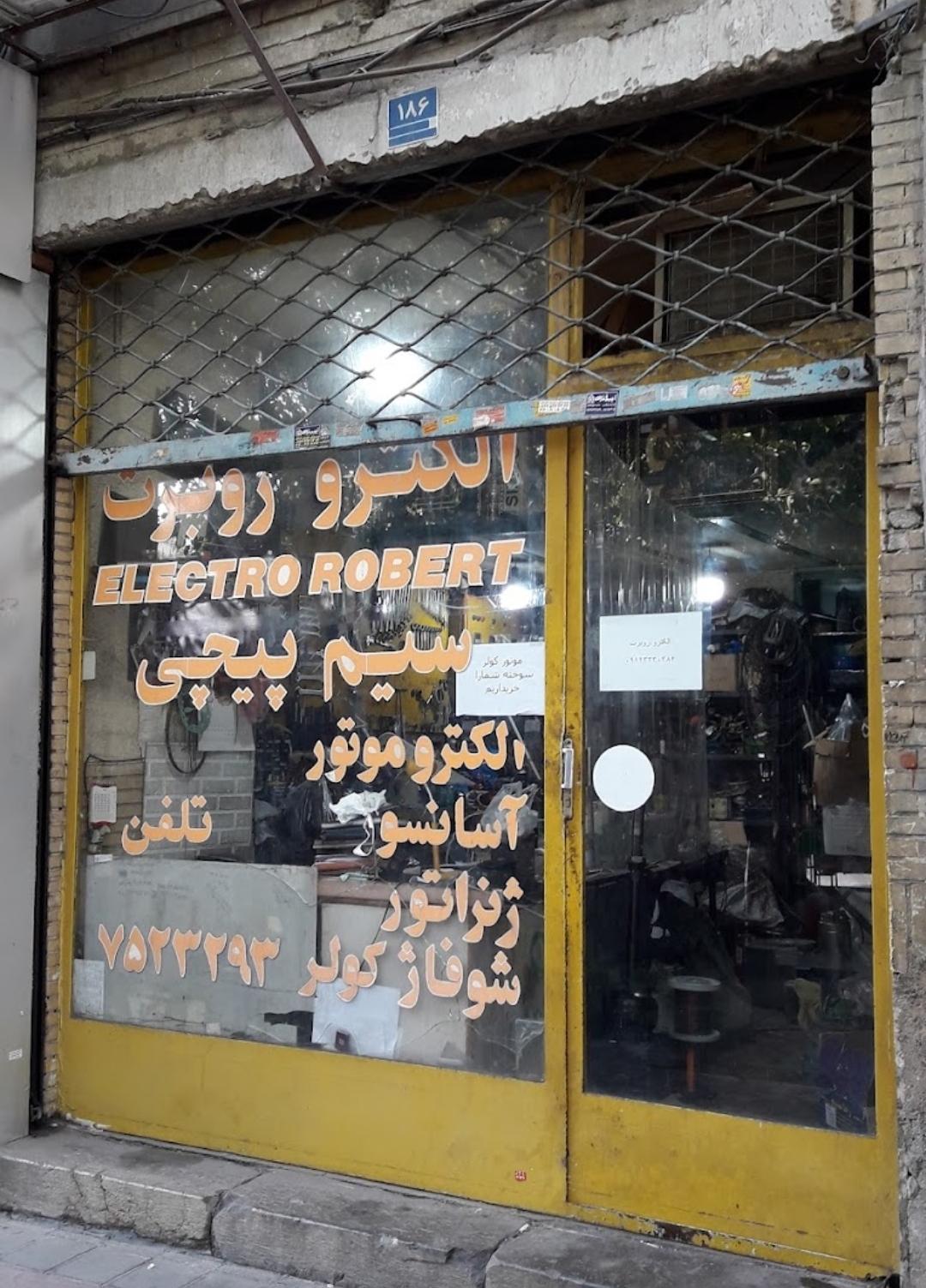 عکس سیم پیچی الکترو روبرت