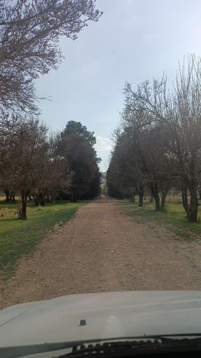 عکس باغ پذیرایی و گردشگری پیرامید