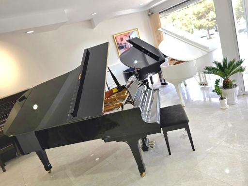 عکس گالری پیانو پاوان 