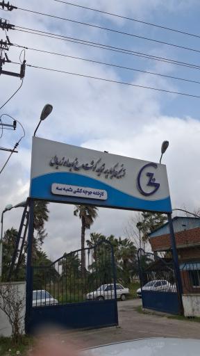 عکس جوجه کشی زربال آمل شعبه ۳