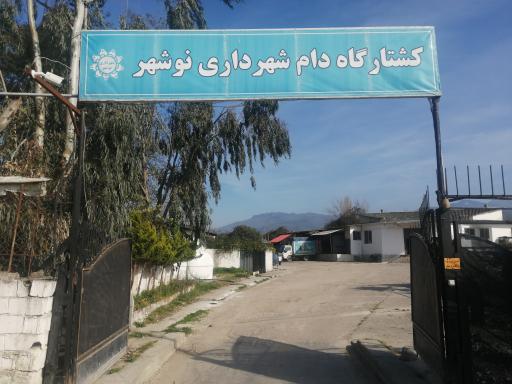 کشتارگاه دام شهرداری نوشهر