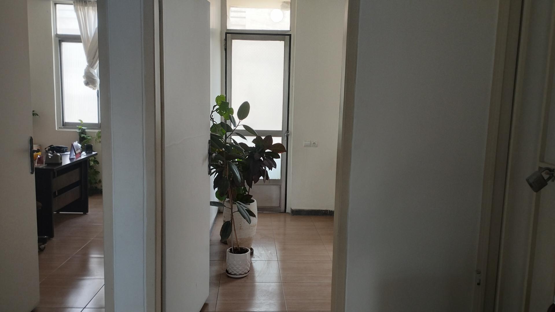 عکس  نگاه فردا