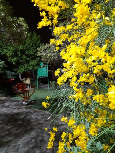 عکس بوستان طلوع