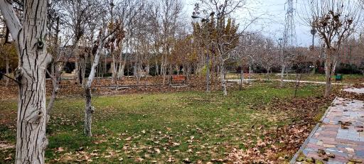 عکس اردوگاه فرهنگی، ورزشی شهید فهمیده