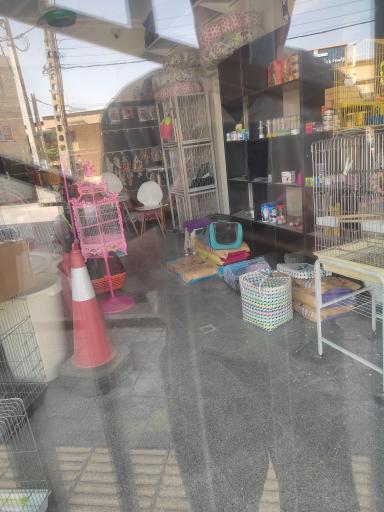 عکس فروشگاه حیوانات خانگی پت شاپ