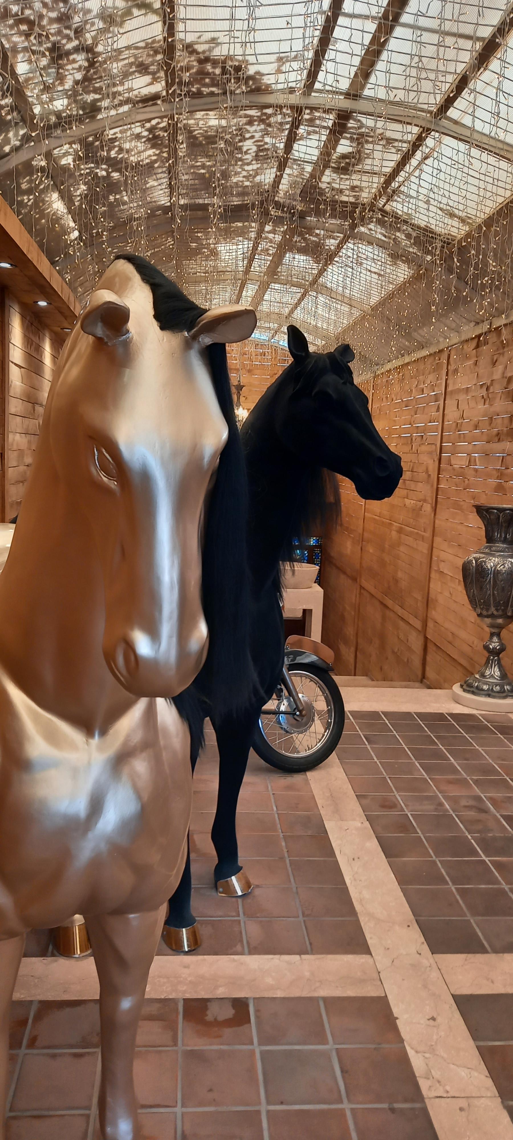 عکس کافه رستوران آرشا