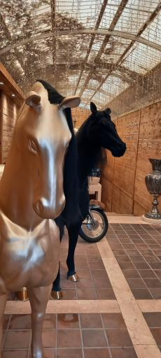 عکس کافه رستوران آرشا