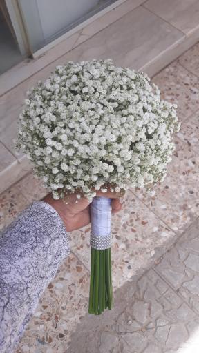 عکس گل فروشی فرخ