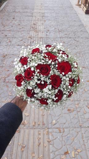 عکس گل فروشی فرخ