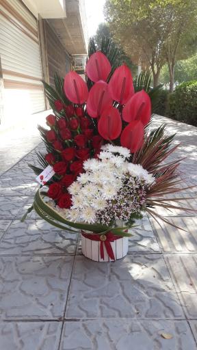 عکس گل فروشی فرخ