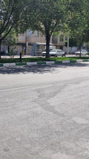 عکس  آموزگار 25