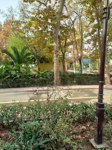 عکس سرویس بهداشتی