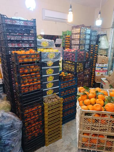 عکس میوه ساسان