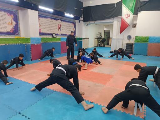 عکس مجموعه ورزشی شهدا