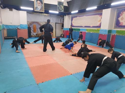 عکس مجموعه ورزشی شهدا