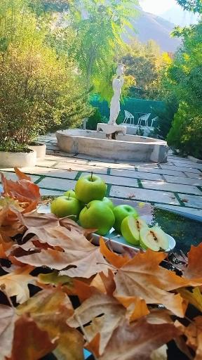 عکس کافه رستوران دنیرو