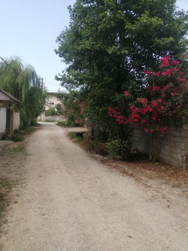 عکس شهرک کامبیز 