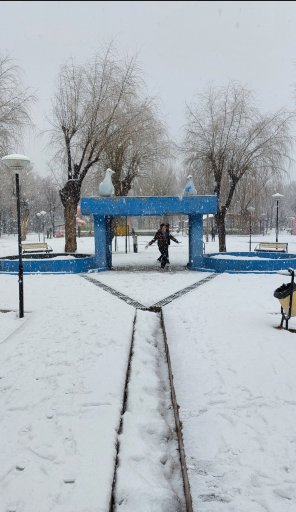 عکس پارک لاله