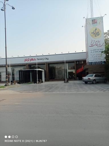 عکس قالی سلیمان شهر ترنج