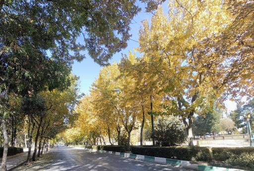 عکس پارک لاله