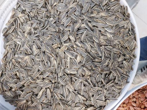 عکس هایپر شیرینی  هامون