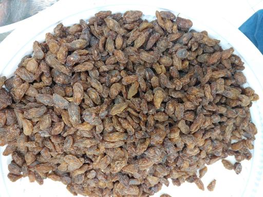 عکس هایپر شیرینی  هامون