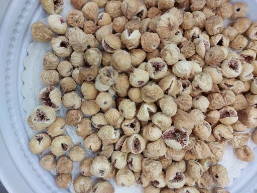 عکس هایپر شیرینی  هامون