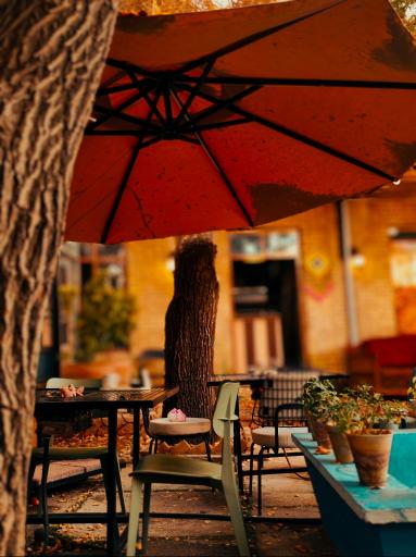 عکس باغچه نبات